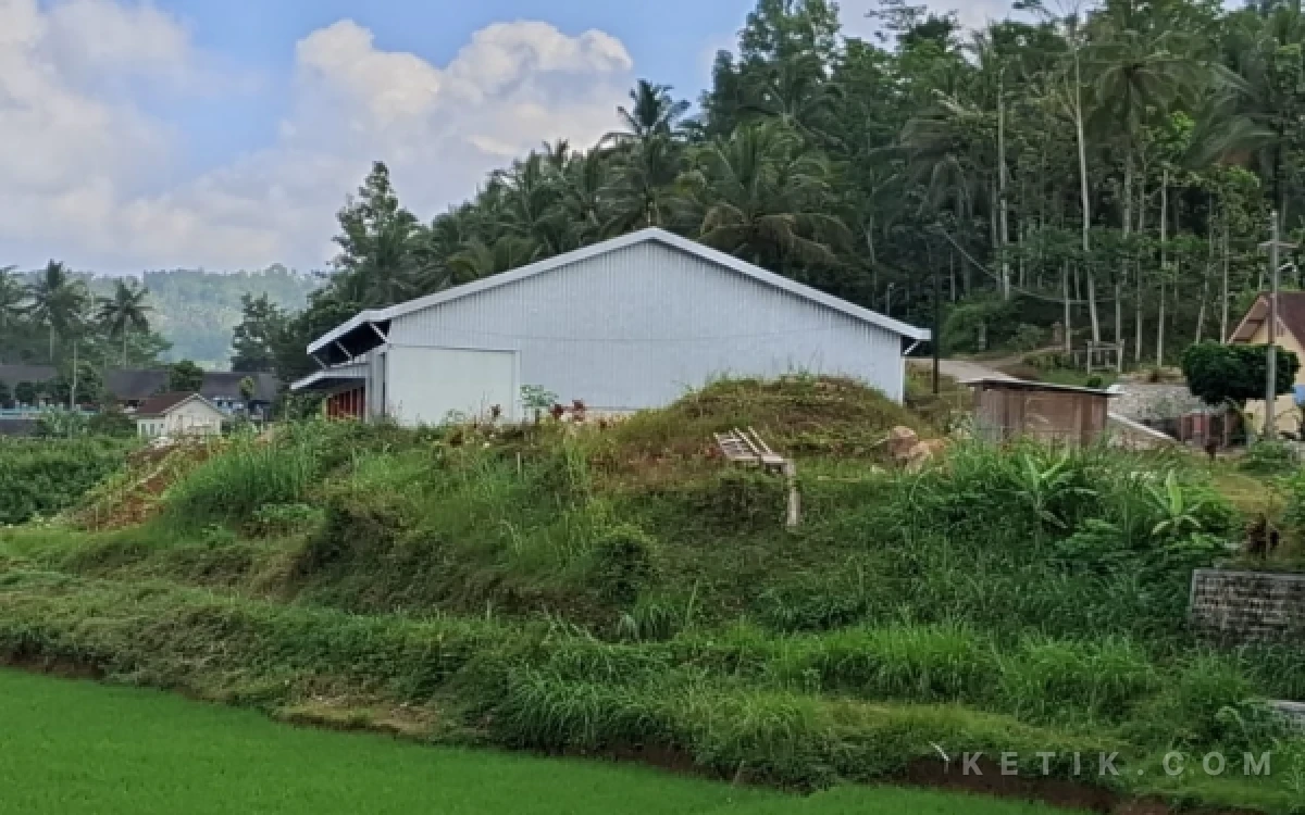 Thumbnail Berita - Bikin Heran Warga, Gerai KDMP di Pacitan Ini Justru Menghadap ke Hamparan Padi