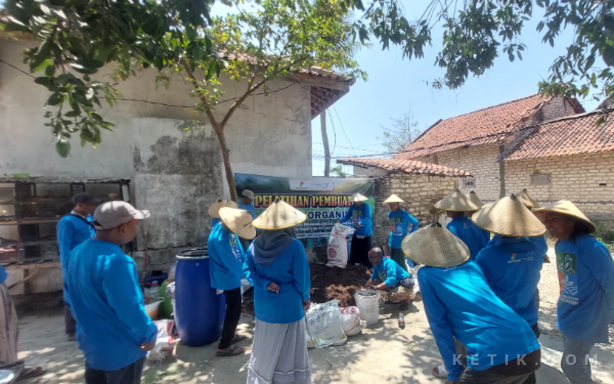 Foto Praktik Pembuatan Pupuk Organik (Foto: Mat Jusi/Ketik.com)