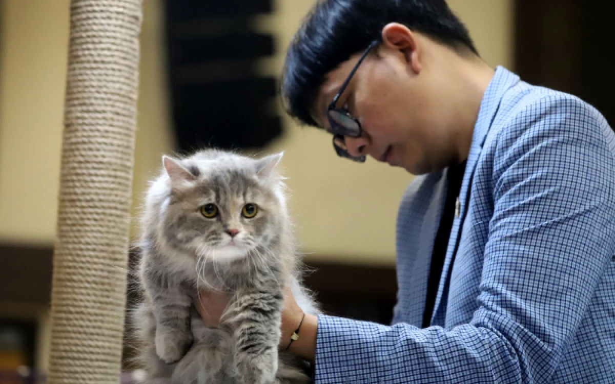 Thumbnail Berita - Meriah! 150 Jenis Satwa Eksotis hingga Kontes Kucing Pukau Warga UB