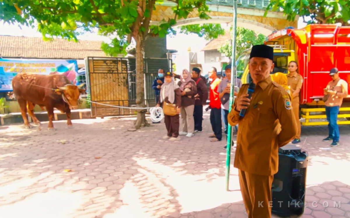 Thumbnail Berita - Bukan Main ! Plt. Bupati Serahkan Sapi Kurban Bantuan Presiden Prabowo Tulungagung yang Tembus 1 Ton Lebih