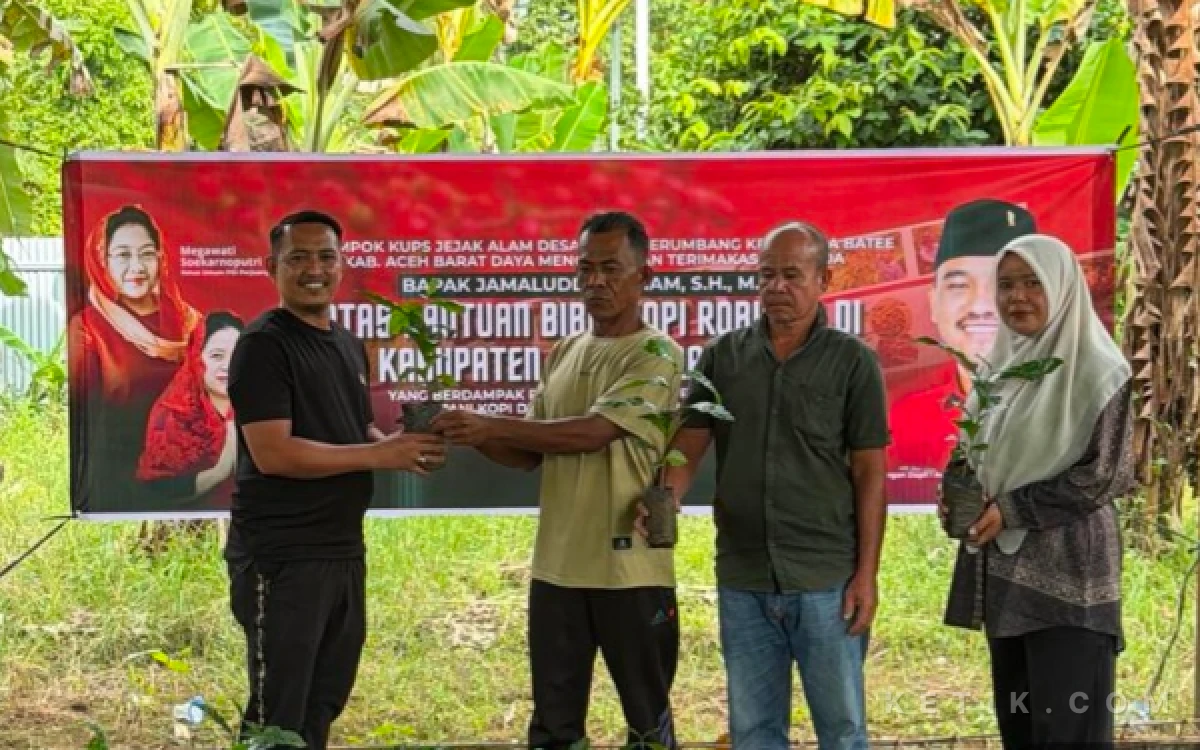 Thumbnail Berita - Genjot Ekonomi, Jamaluddin Idham Salurkan Bantuan Bibit Kopi untuk Petani Abdya