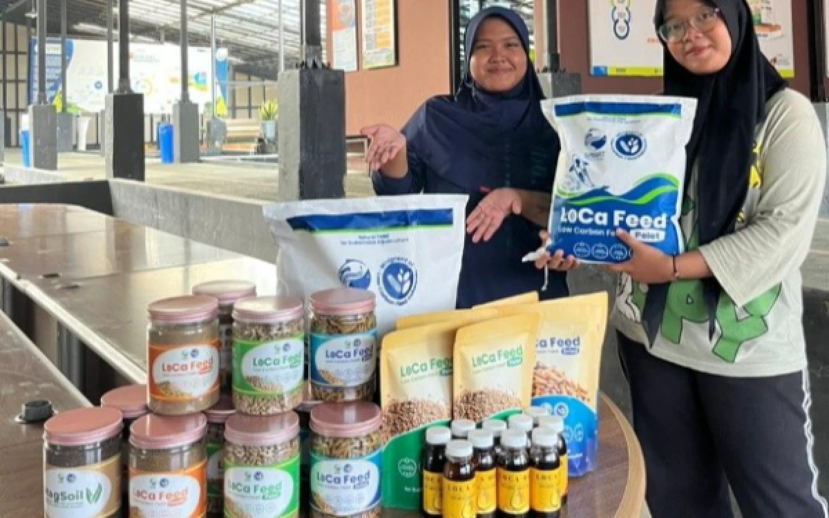 Thumbnail Berita - Mahasiswa MBKM Universitas Brawijaya Pelajari Teknologi Biokonversi Limbah Organik Berbasis Maggot BSF di LoCa Feed Depok