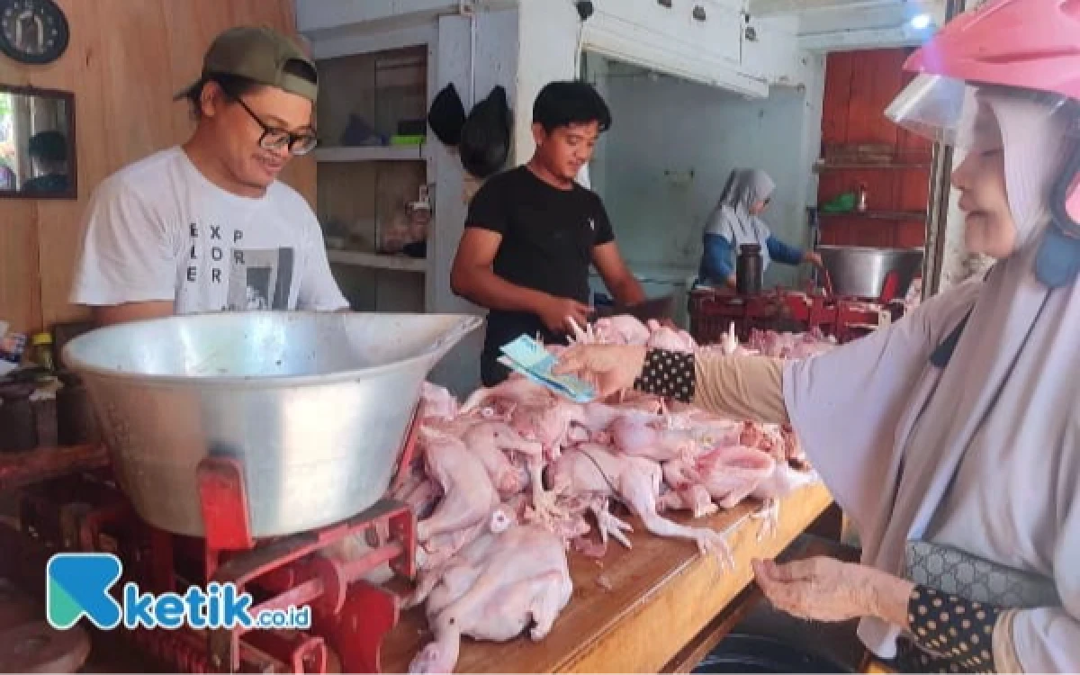 Thumbnail Berita - Jelang Idul Adha 2026, Harga Daging dan Telur di Lebak Relatif Stabil