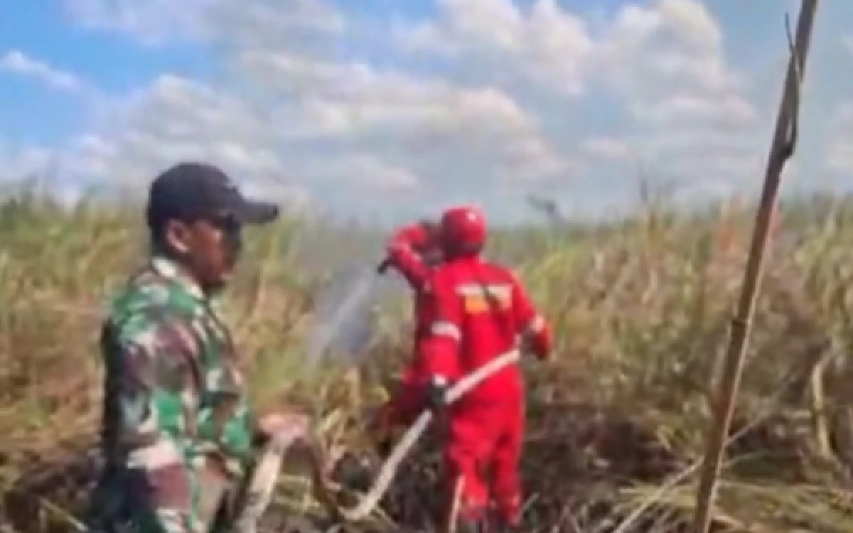 Thumbnail Berita - Empat Kabupaten Sumsel Mulai Dilanda Karhutla, Sinar Mas-Korporasi Besar Siaga Pencegahan