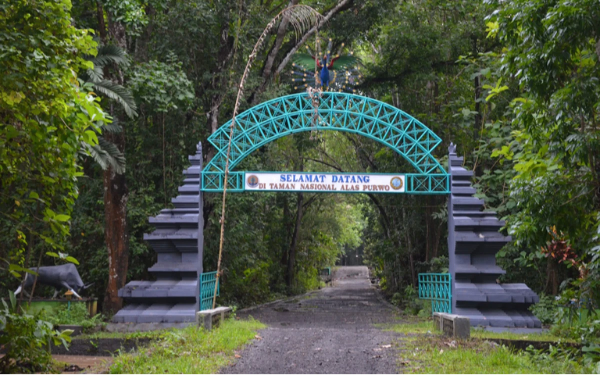 Foto (Foto: www.tourbanyuwangi.com)