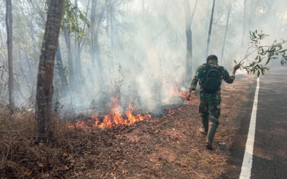 Thumbnail Berita - Api Lahap Dua Hektare Lahan Perhutani Pacitan, Puntung Rokok Diduga Pemicu