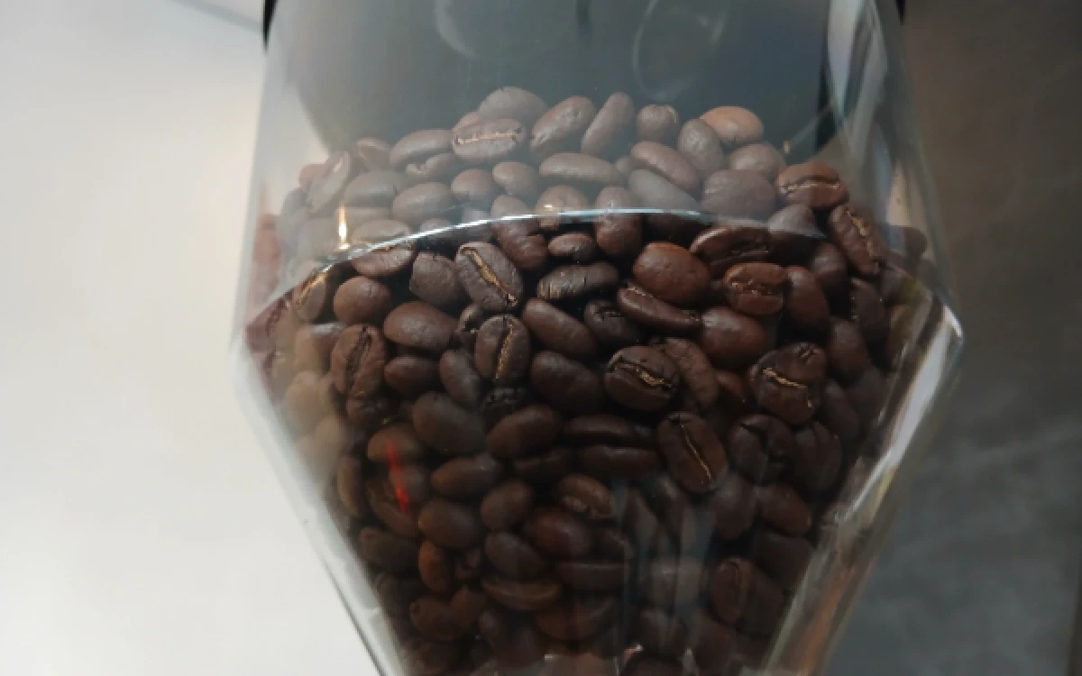 Thumbnail Berita - Dari Dataran Tinggi Gayo ke Dunia, Kopi Aceh Jadi yang Terbaik di Asia