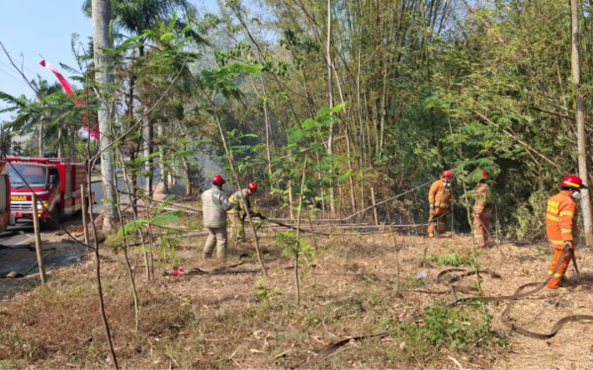 Thumbnail Berita - Kebakaran Lahan Bambu di Cemorokandang Malang, 3 Unit Mobil Damkar Diterjunkan