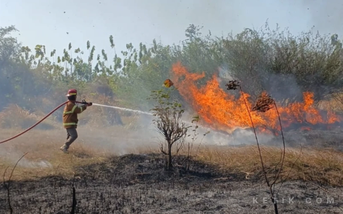 Thumbnail Berita - 4 Kali Terbakar, Damkar Desak Kilang Pertamina Rosneft Tuban Perkuat Sistem Proteksi dan Miliki Armada Sendiri