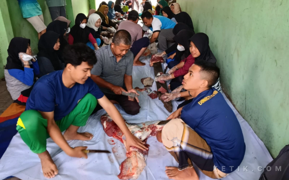 Thumbnail Berita - Lewat Arisan Kurban, SMAN 1 Gondangwetan Sembelih Tiga Sapi pada Iduladha 1447 H