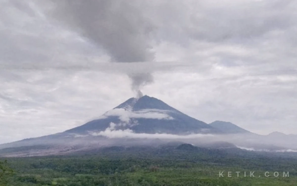 Thumbnail Berita - Gunung Semeru Erupsi Dua Kali Pagi Ini, Letusan Capai 700 Meter