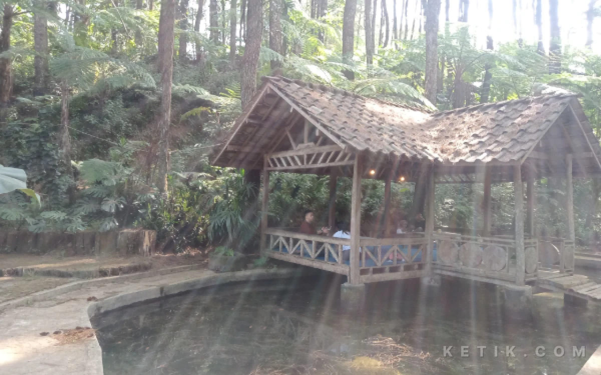 Foto Salah satu spot gazebo yang nyaman di Alas Pakis. (Foto: Aliyah/Ketik.com)