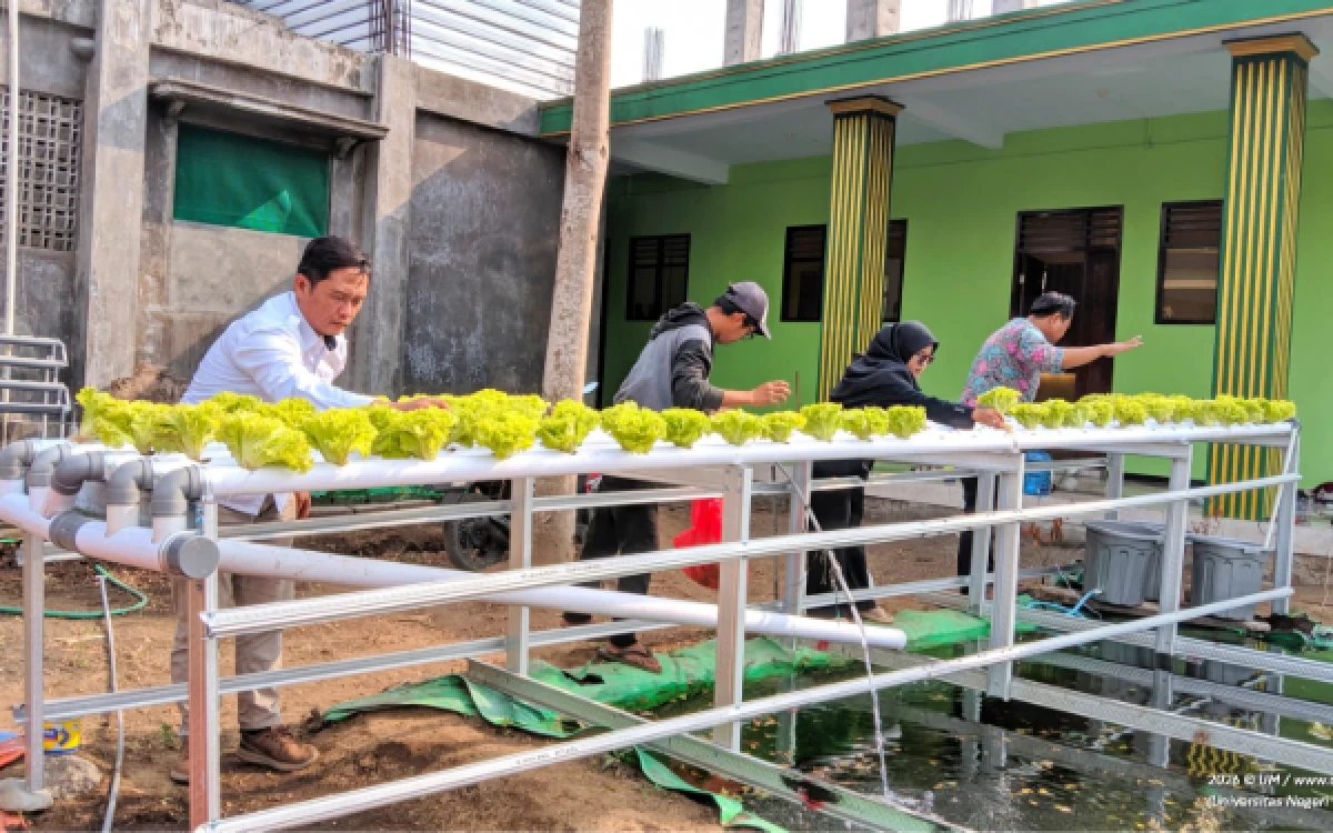 Thumbnail Berita - Universitas Negeri Malang Dorong Kemandirian Pangan Santri Mambaul Abyad Lewat Aquaponik Berbasis IoT