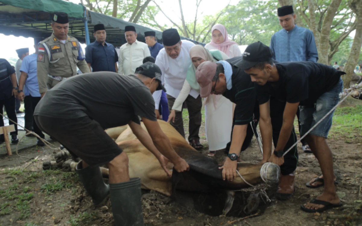 Thumbnail Berita - 101 Hewan Kurban Disembelih di Alun-Alun Rambate Rata Raya Kisaran Asahan