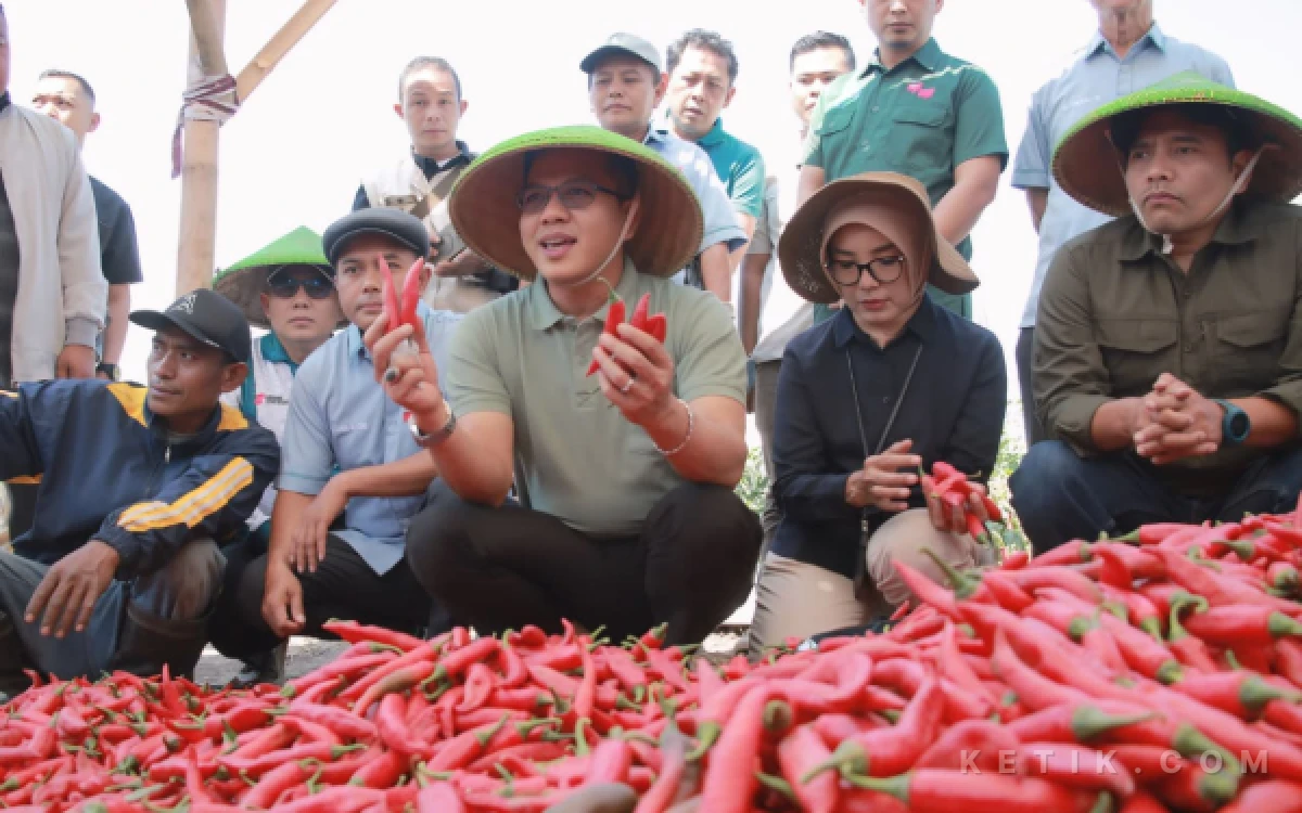 Thumbnail Berita - Panen Raya Cabai, Bupati Bandung Siapkan 125 Koperasi Desa Merah Putih Bisa Ikuti Jejak KDMP Lengkong