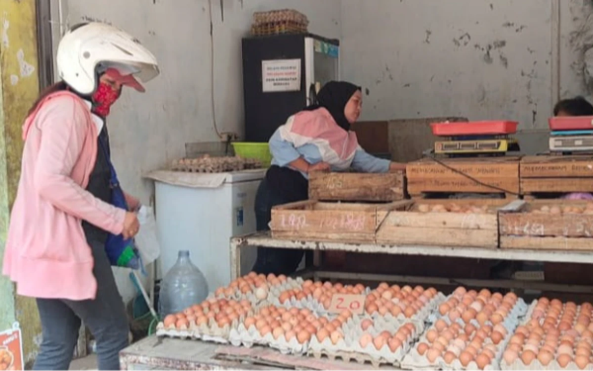 Thumbnail Berita - Harga Telur Ayam di Kota Malang Anjlok, Omzet Pedagang Justru Ikut Merosot