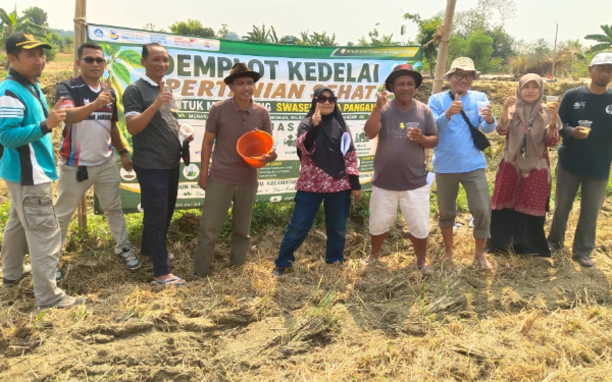 Thumbnail Berita - Demplot Kedelai SENTRA di Lamongan Jadi Laboratorium Lapangan untuk Perkuat Ketahanan Pangan
