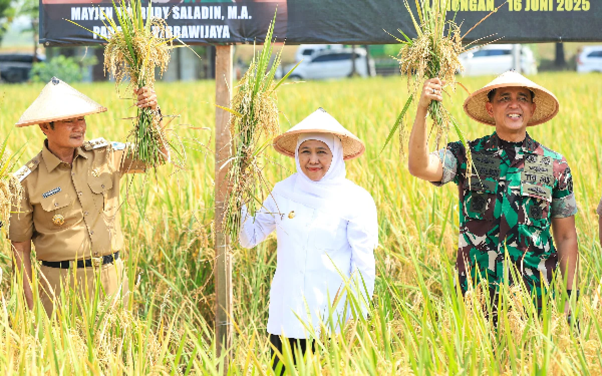 Thumbnail Berita - Data BPS! Jatim Kembali Jadi Lumbung Pangan Nasional, Gubernur Khofifah Tegaskan Bukti Ketangguhan Petani