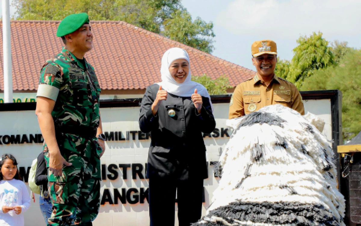 Thumbnail Berita - Karya Bakti Skala Besar TNI di Madura! Apa Saja Program Kemanusiaan dan Fisik yang Dibangun?