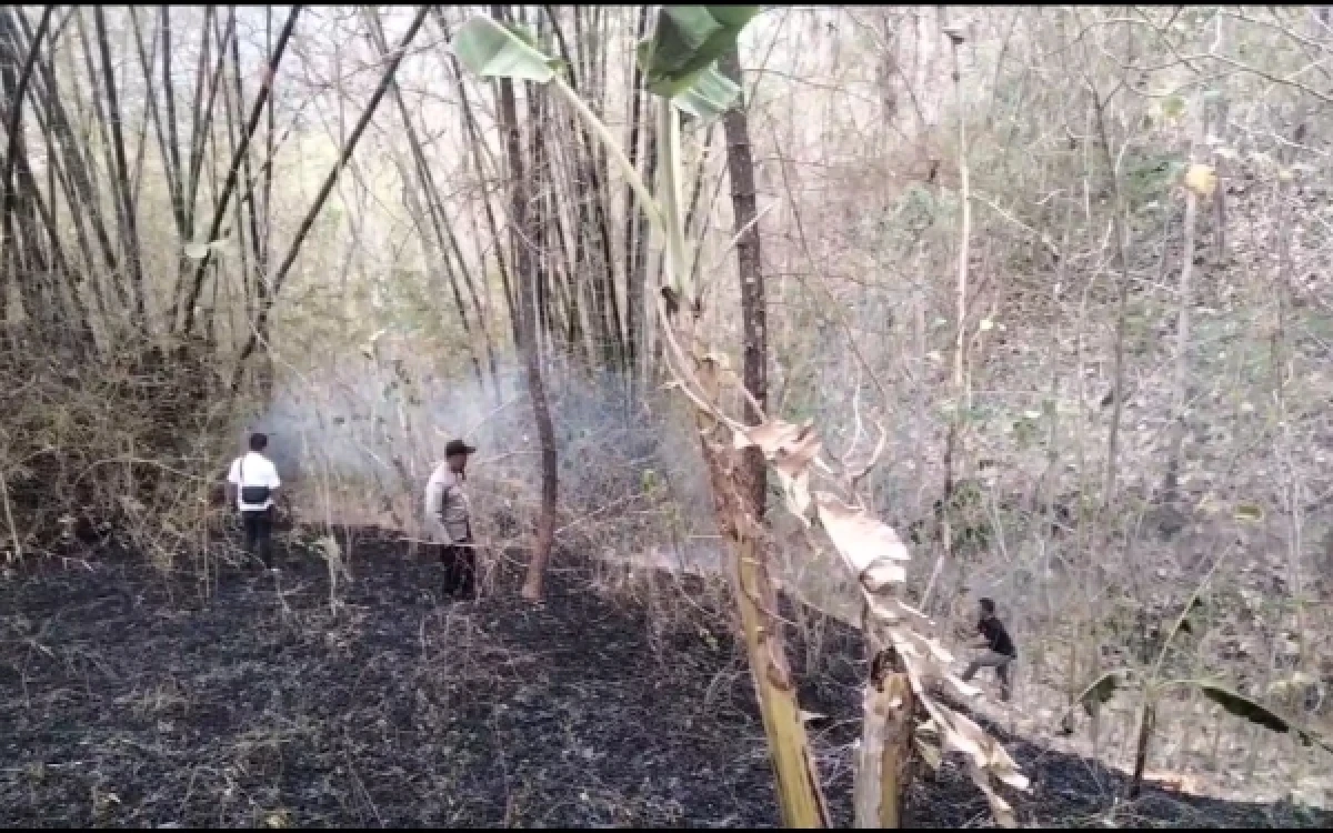 Thumbnail Berita - Dipicu Pembakaran Lahan, Kebakaran Hutan Melahap Puluhan Hektare di 8 Provinsi