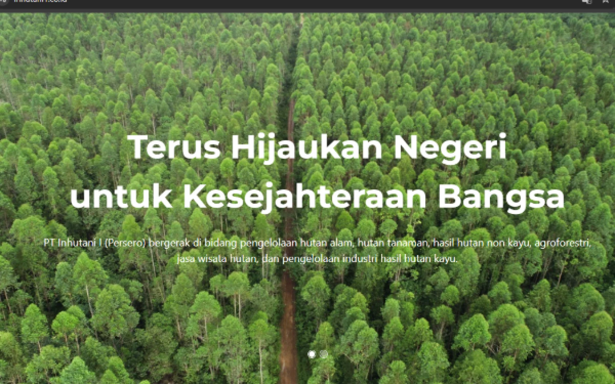 Thumbnail Berita - Inhutani I Buka Lowongan Kerja 2026, Ini 9 Posisi yang Dibutuhkan