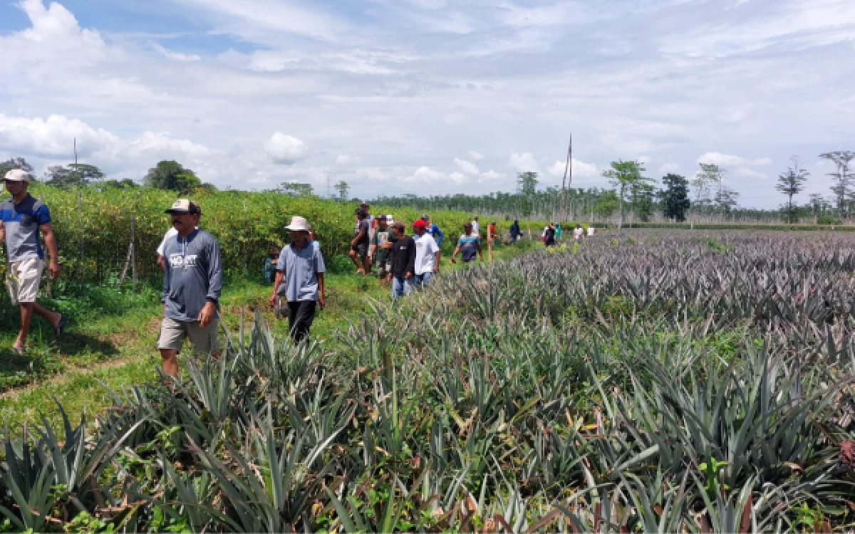 Thumbnail Berita - Warga Manggis Kediri Laporkan Dugaan Tata Kelola Lahan Perhutani ke Polisi