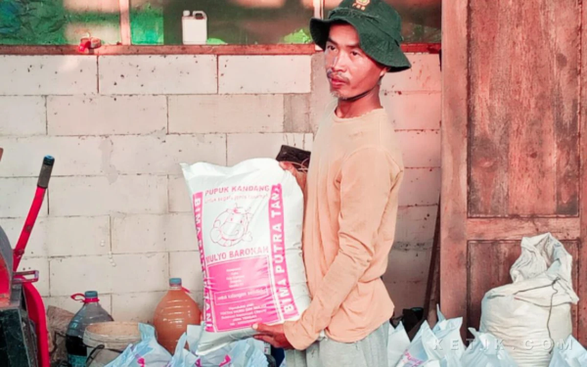 Thumbnail Berita - Petani di Bantarsari Sukses Kembangkan Pupuk Organik dari Kotoran Sapi