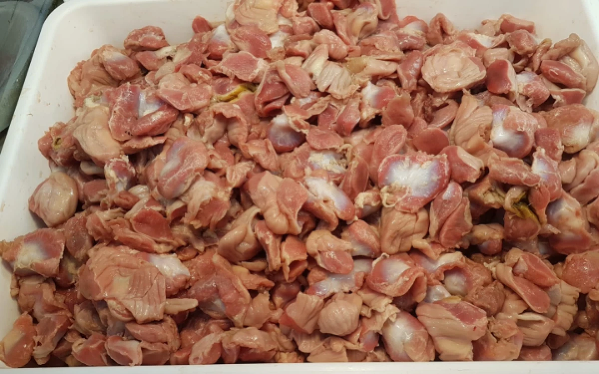 Thumbnail Berita - Ampela Ayam Mengandung 30 Gram Protein per 100 Gram, Ini Manfaat Gizinya