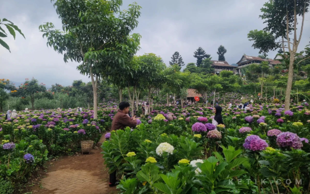 Thumbnail Berita - Bukan Sekadar Tempat Makan, Wisata Dusun Kuliner Batu Punya Spot Foto Bak di Negeri Dongeng