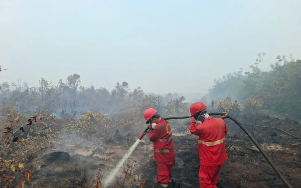 Thumbnail Berita - 15 Hari Bertaruh Nyawa di Neraka Gambut, Manggala Agni Lahat Taklukkan Karhutla di Muara Enim