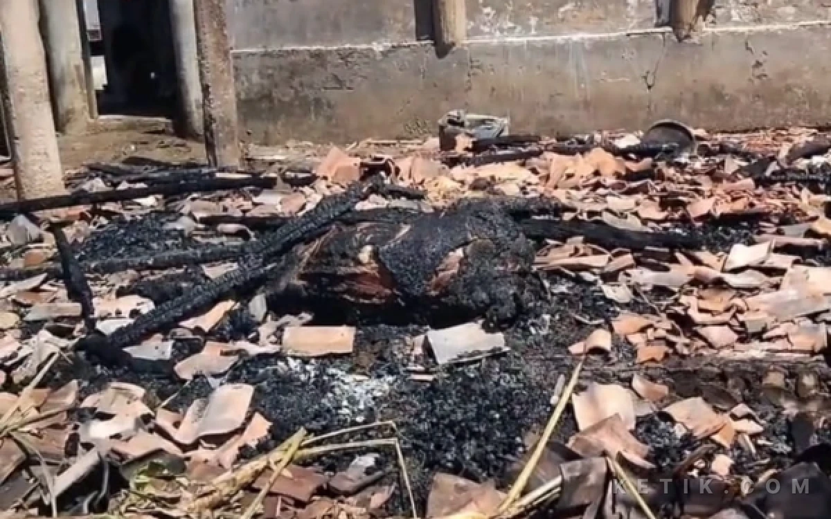 Thumbnail Berita - Kandang Ternak di Sampang Terbakar, 4 Sapi dan 8 Kambing Mati Terpanggang