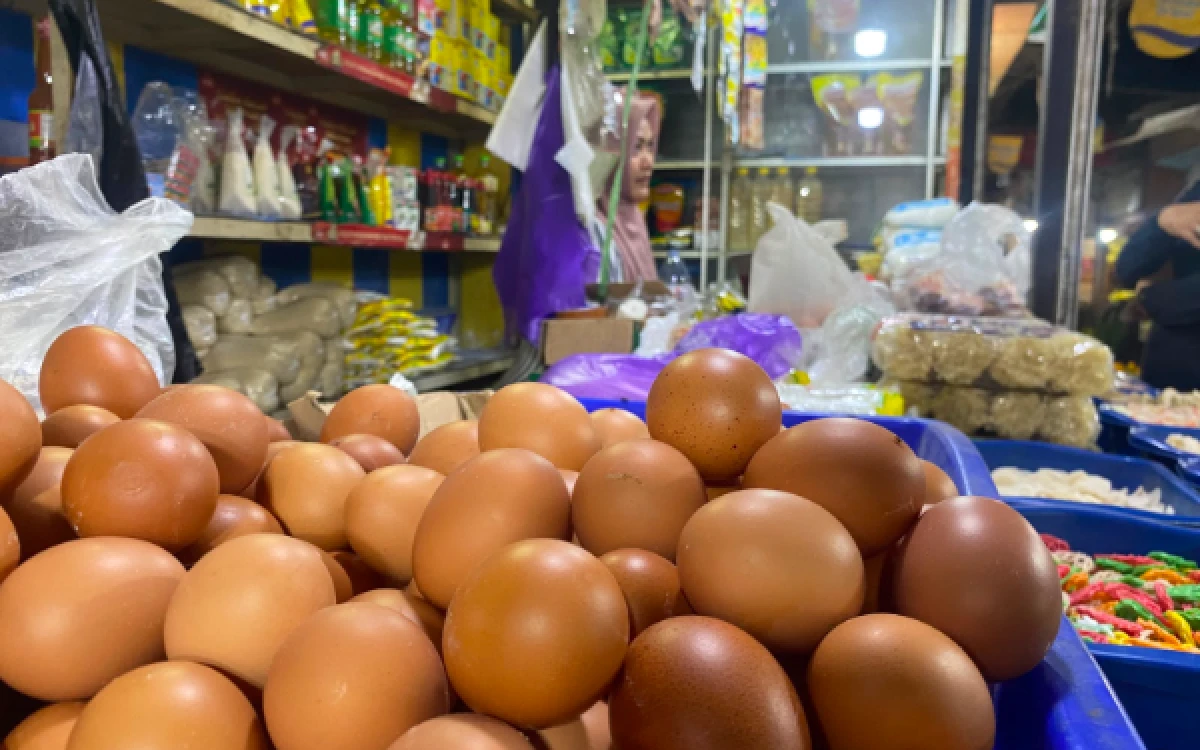 Thumbnail Berita - Imbas Libur MBG, Warga Malang Serbu Pasar Berburu Ayam dan Telur Murah