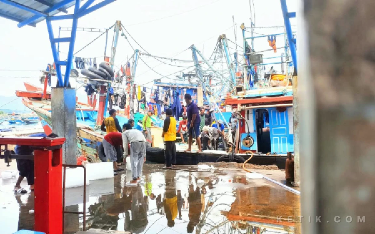Thumbnail Berita - Berburu Albakor dan Tuna, Kapal dari Sulawesi-Cilacap Ramai Parkir di Pelabuhan Tamperan Pacitan