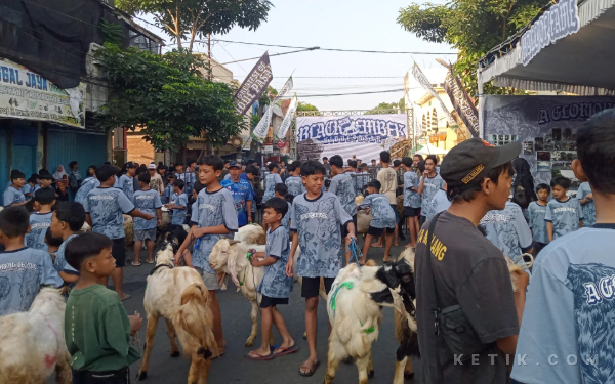 Foto Momentum generasi muda turut berpartisipasi dalam prosesi penyembelihan hewan kurban ketika Hari Raya Iduladha 1447 Hijriah. (Foto: Aliyah/Ketik.com)