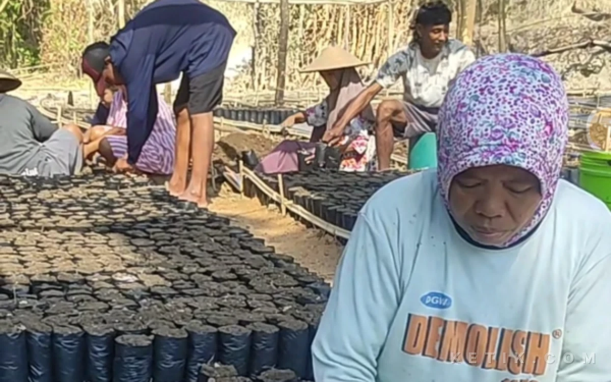 Thumbnail Berita - KTH Karya Mandiri Tuban Siapkan 35 Ribu Bibit Penghijauan DAS Solo Lewat KBR, Harap Rangkulan Pertamina
