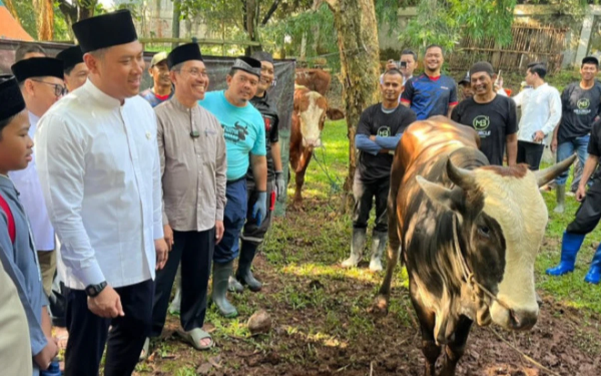 Thumbnail Berita - Tebar  Manfaat bagi Masyarakat Luas, HKTI Sumbang 15 Sapi Kurban dalam Iduladha 1447 H