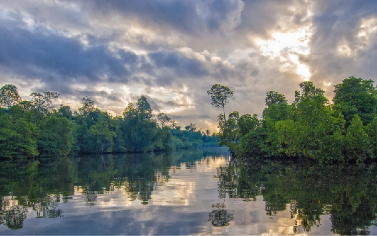Thumbnail Berita - Pantura Jawa Terancam Tenggelam, BRIN Dorong Teknologi Geospasial untuk Selamatkan Mangrove