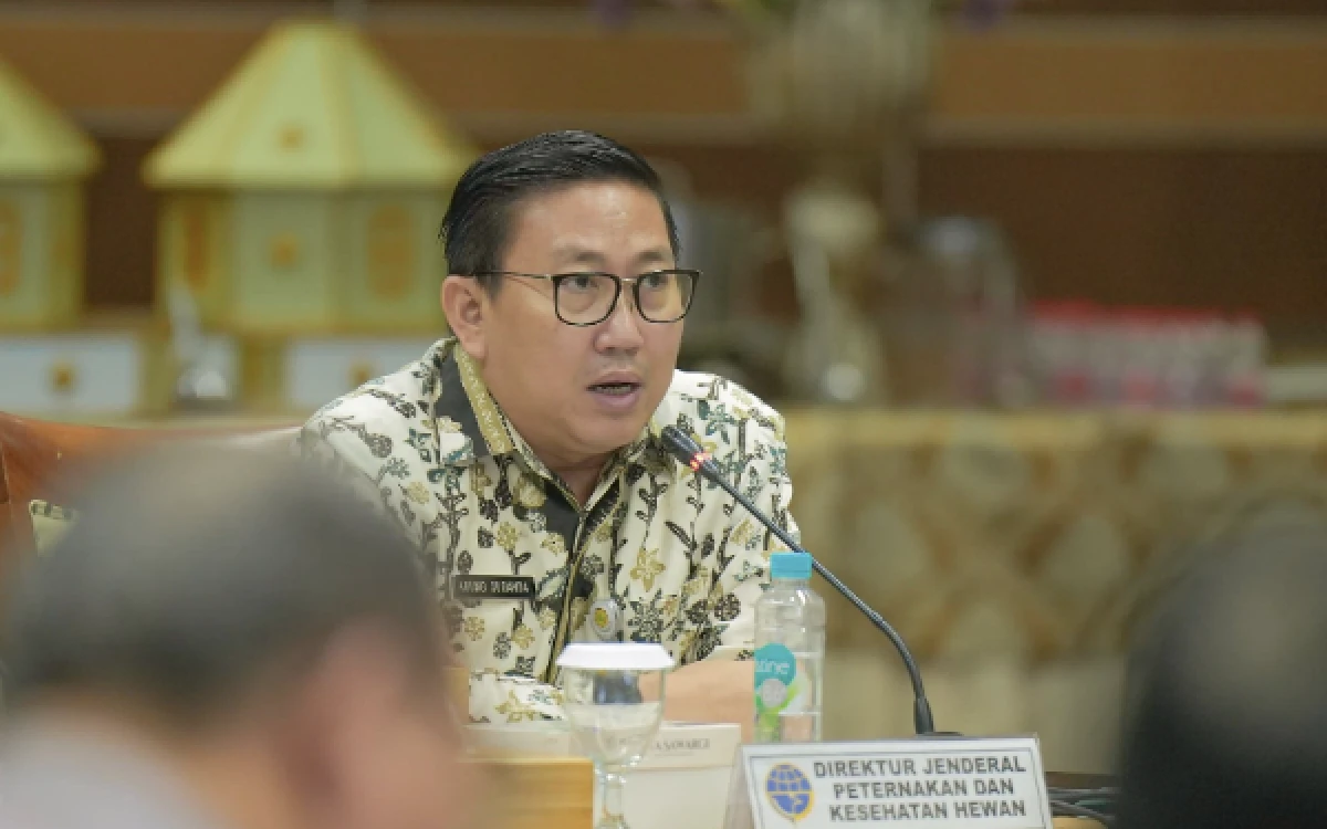 Thumbnail Berita - Kementan dan Kadin Klarifikasi Kabar Investor China Bakal Bangun Peternakan Ayam Rp1,4 T di Aceh