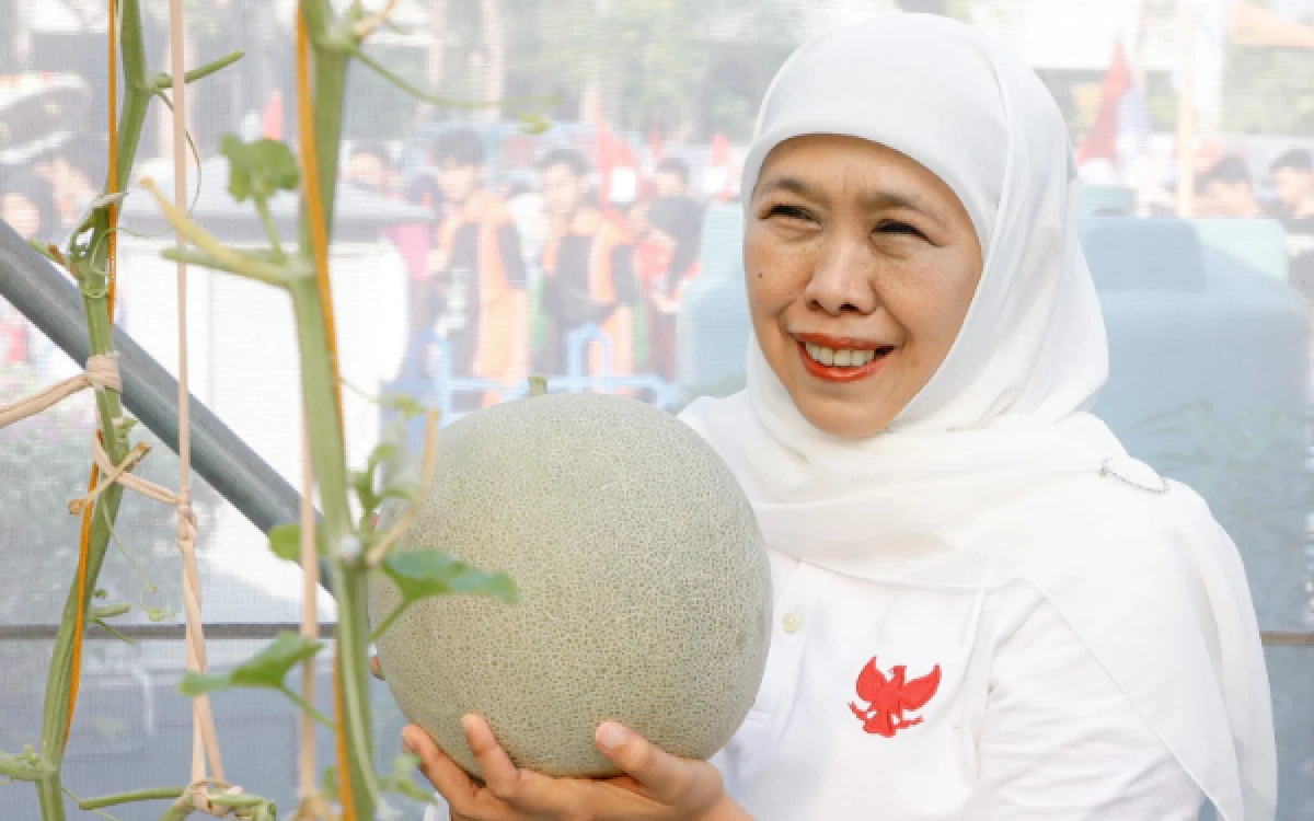 Thumbnail Berita - Gubernur Khofifah Resmikan Al-Akbar FishTech dan Panen Ratusan Melon di MAS