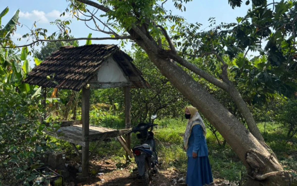 Thumbnail Berita - Polres Gresik Ringkus Pelaku Kekerasan Seksual Berkedok Pengobatan Alternatif di Ujungpangkah