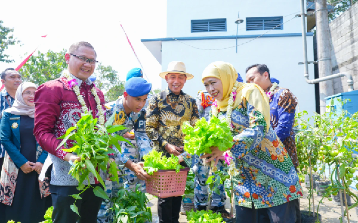 Thumbnail Berita - Bangun Ketahanan Pangan, Gubernur Khofifah Ikut Panen Sayur di SMAN Taruna Nala Malang