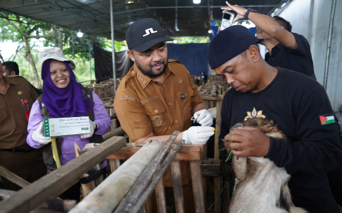 Thumbnail Berita - Ribuan Hewan Kurban di Kota Batu Diperiksa, 7 Kambing Sakit Langsung Diisolasi