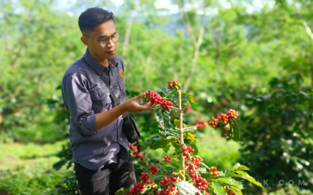 Thumbnail Berita - Gulirkan BRK Reborn! Strategi Baru Pemkab Bondowoso Rebut Kembali Tahta Republik Kopi