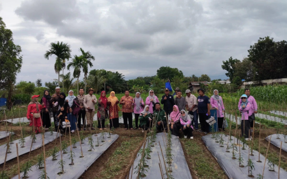 Thumbnail Berita - Petani Cabai Banyuasin Didorong Naik Kelas Lewat Teknologi Proliga dan Pemasaran Digital