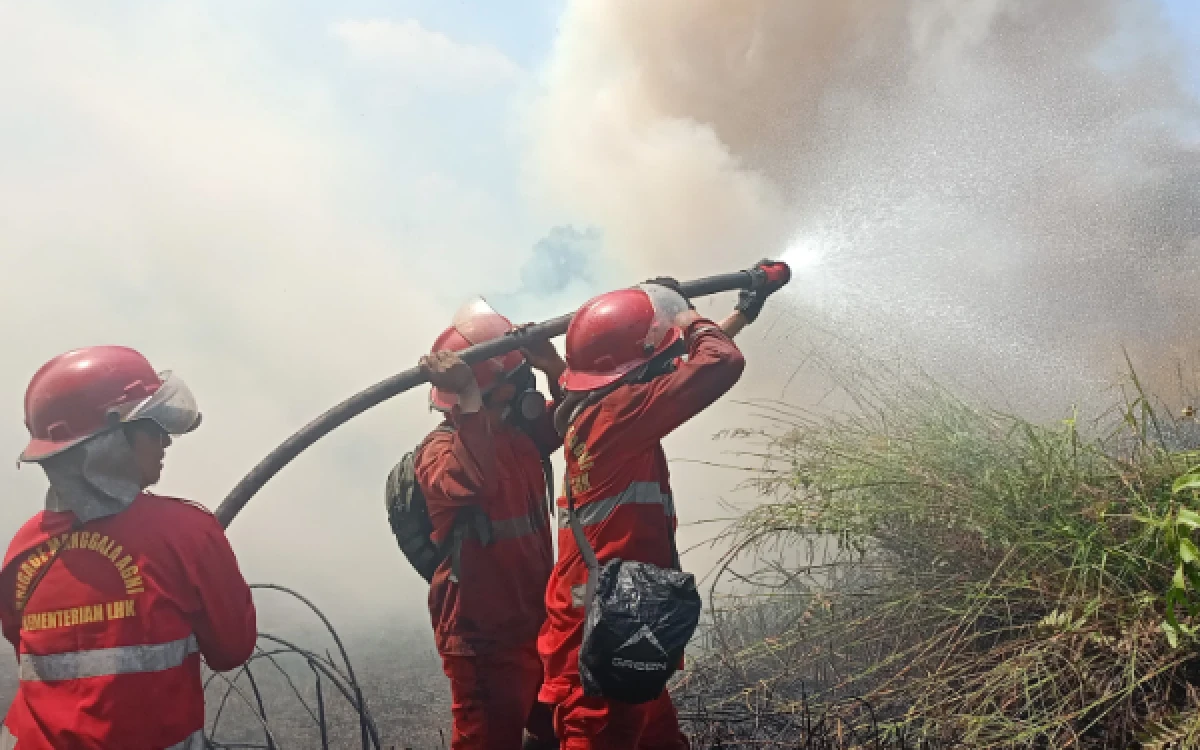 Foto Anggota Manggala Agni berupaya memadamkan Api Karhutla Sabtu (8/82026).