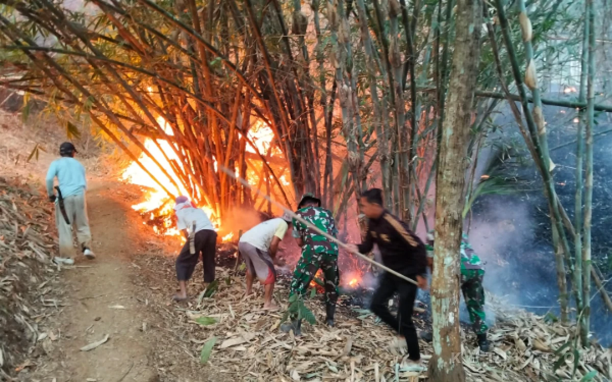Thumbnail Berita - Kebakaran 12 Hektare Lahan Warga di Sidareja Cilacap, 65 Personel Diterjukan