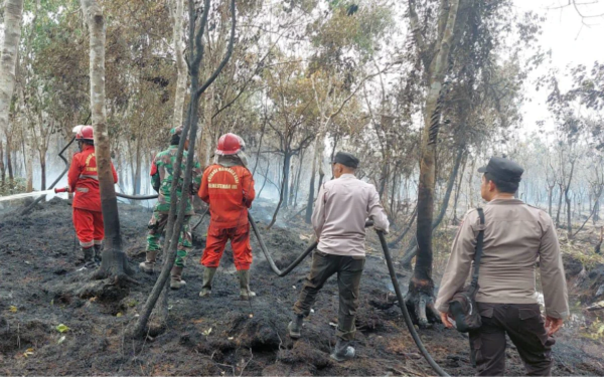 Thumbnail Berita - Tim Satgas Gabungan Dua Hari Lawan Api di Muara Enim