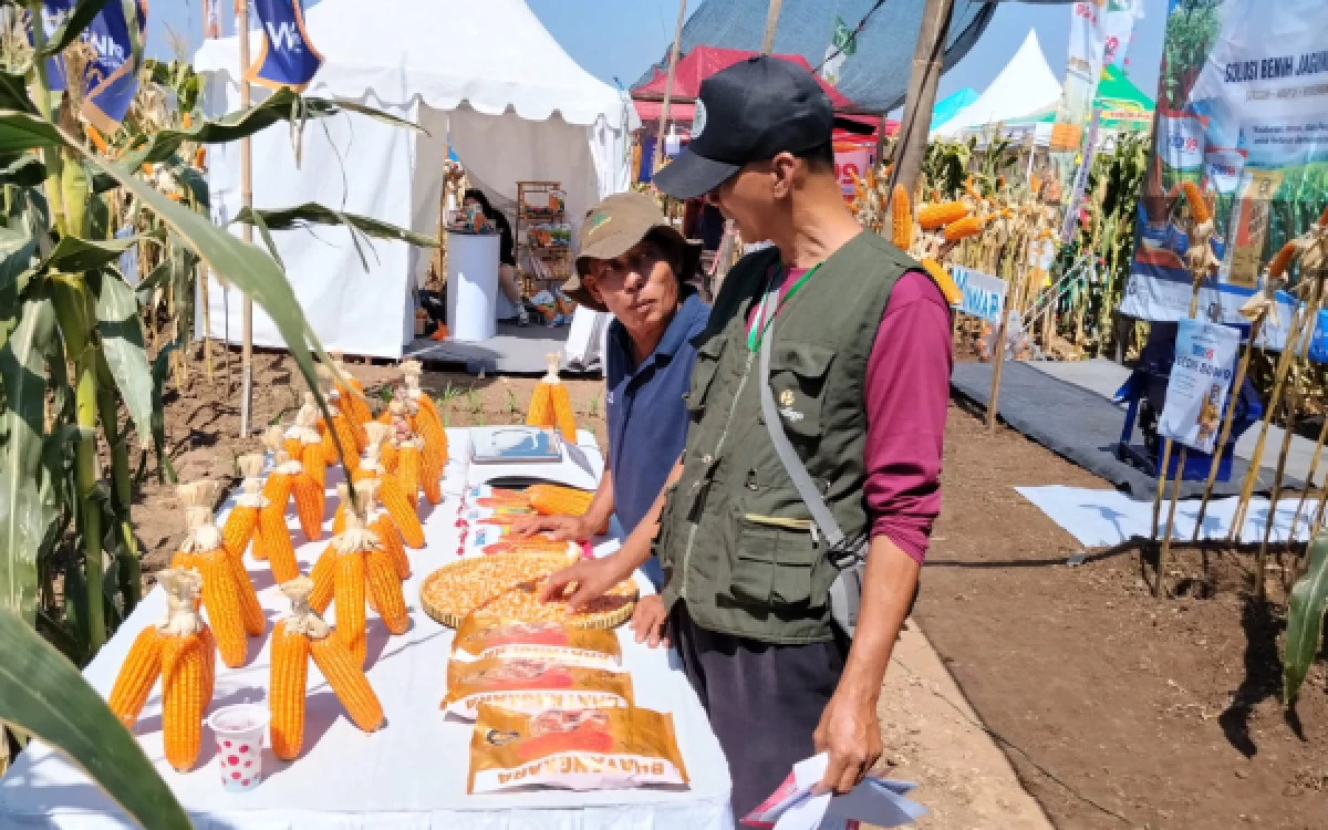 Thumbnail Berita - Dorong Ketahanan Pangan, PT Winmar Pamerkan Benih Jagung Bhayangkara di Gertek Kediri