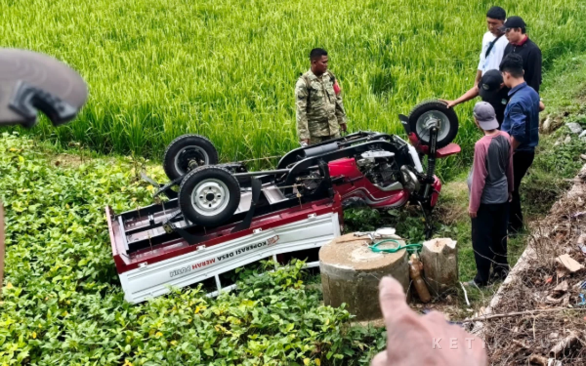 Thumbnail Berita - Baru Diambil dari Kodim, Viar Roda Tiga Kopdes di Pacitan Malah Terjun ke Sawah