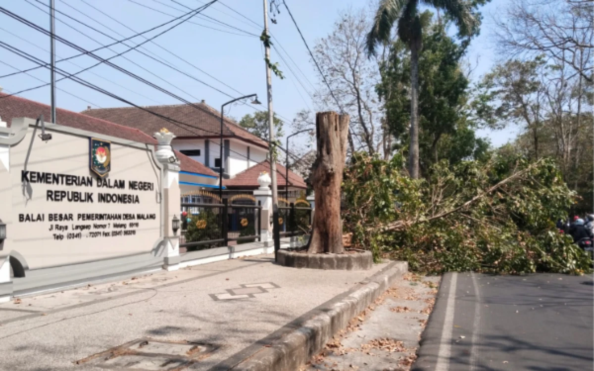 Thumbnail Berita - Waspada Angin Kencang di Malang Raya, Kecepatan Capai 48 Km/Jam